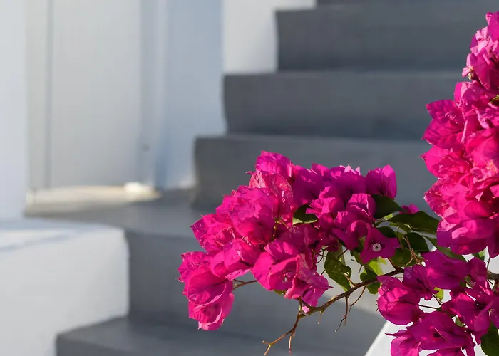 Echoes Luxury (adults Only) Hotel